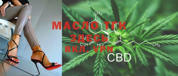 скорость Вяземский