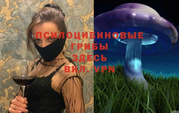 скорость Вяземский