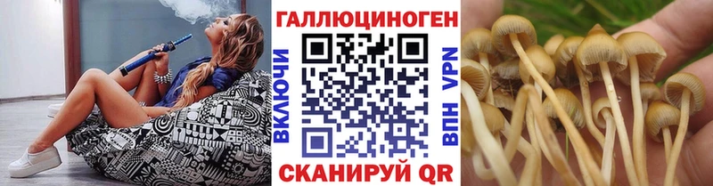 Галлюциногенные грибы Psilocybine cubensis маркетплейс формула Мелеуз